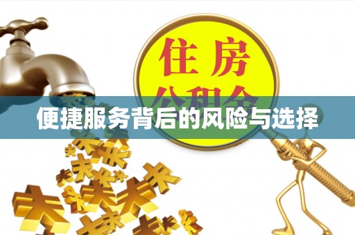 呼图壁便捷服务背后的风险与选择